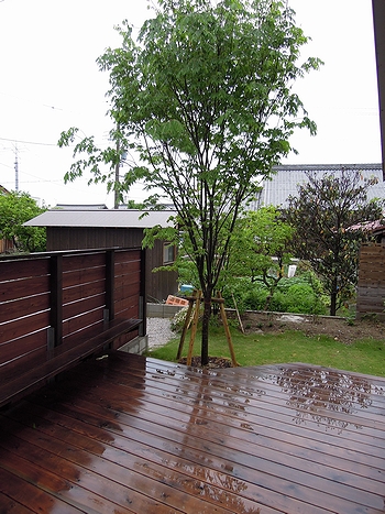 s-DSCN0293.JPG