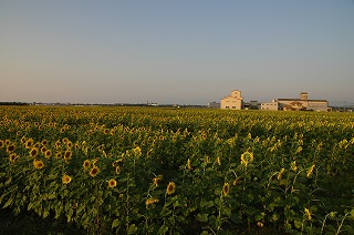 s-DSC_5481.jpg